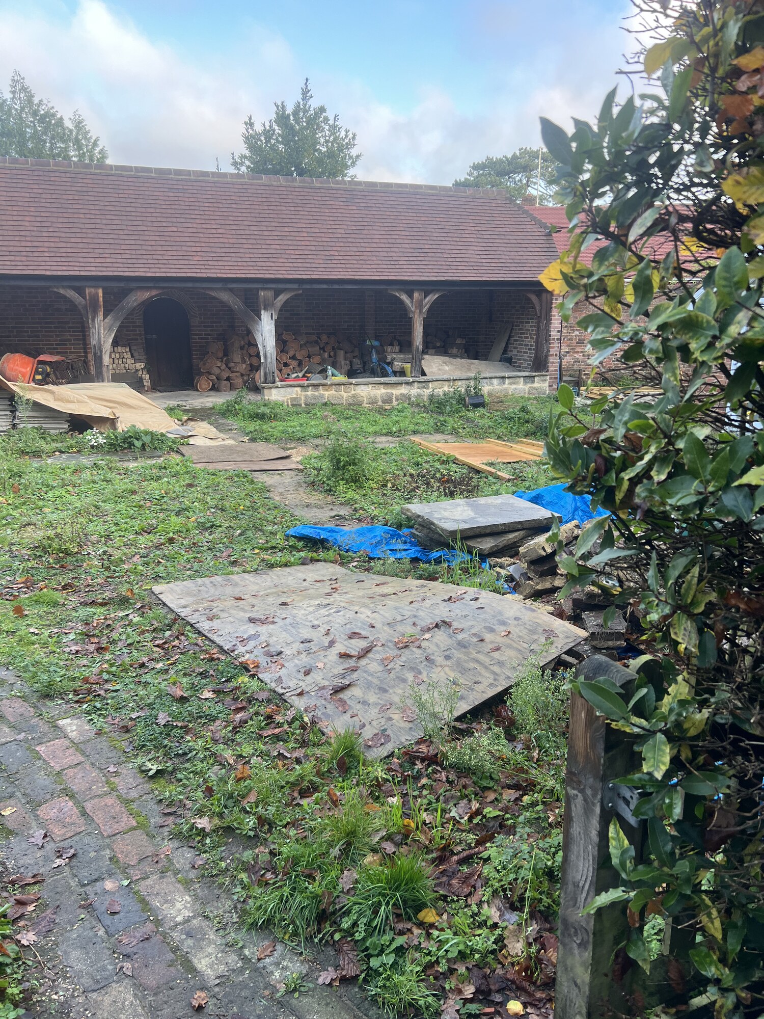 Original garden before redesign