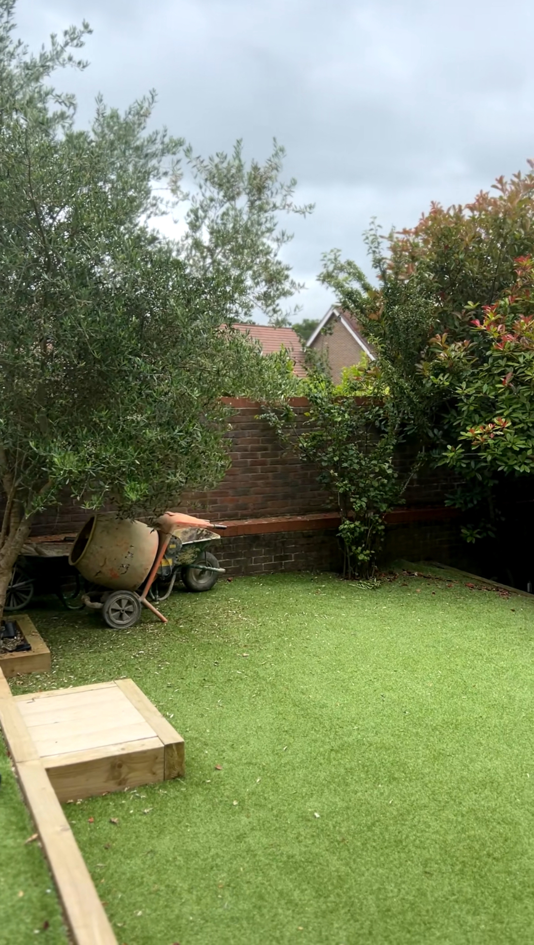 Original Haywards Heath garden — artificial lawn with olive tree and brick wall