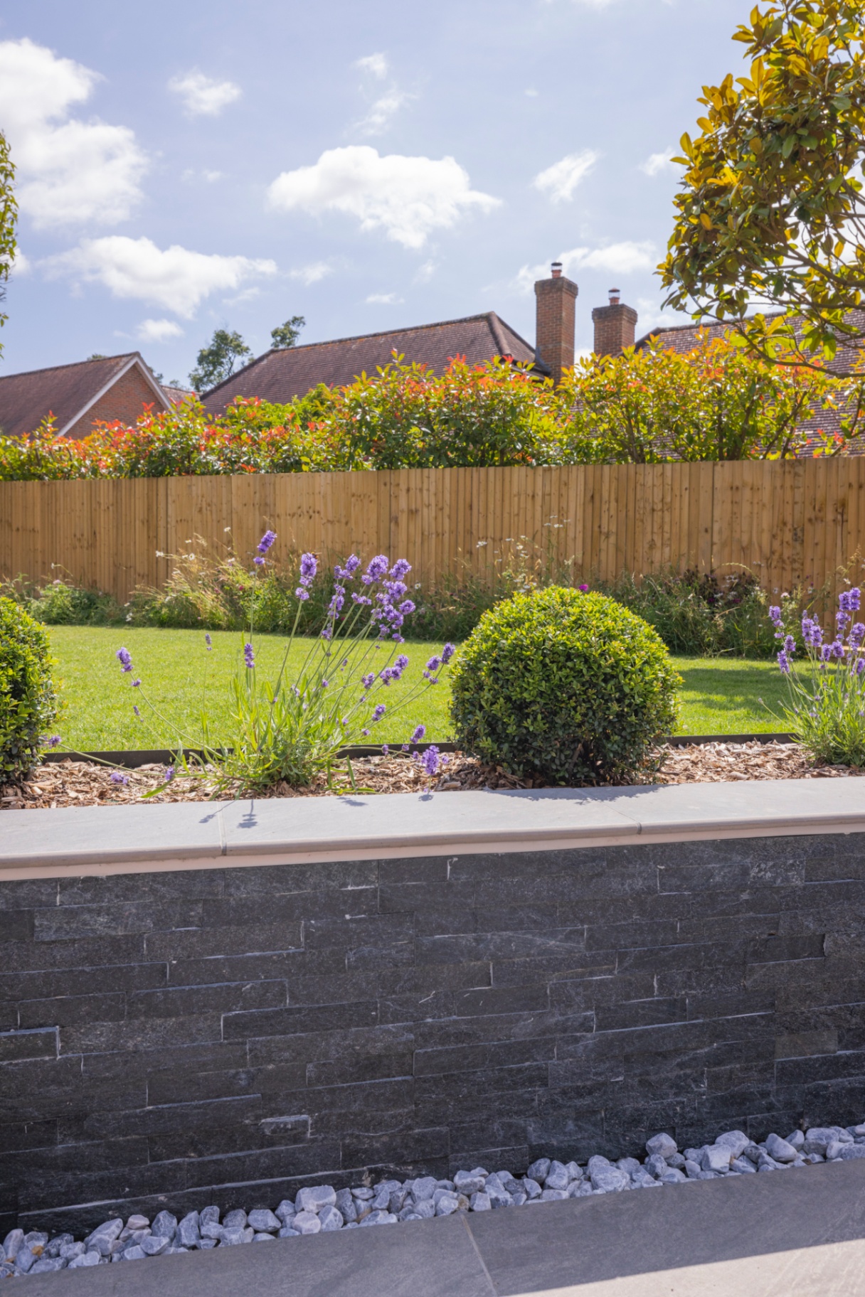 Slate-clad raised bed with lavender, box topiary and white chip mulch