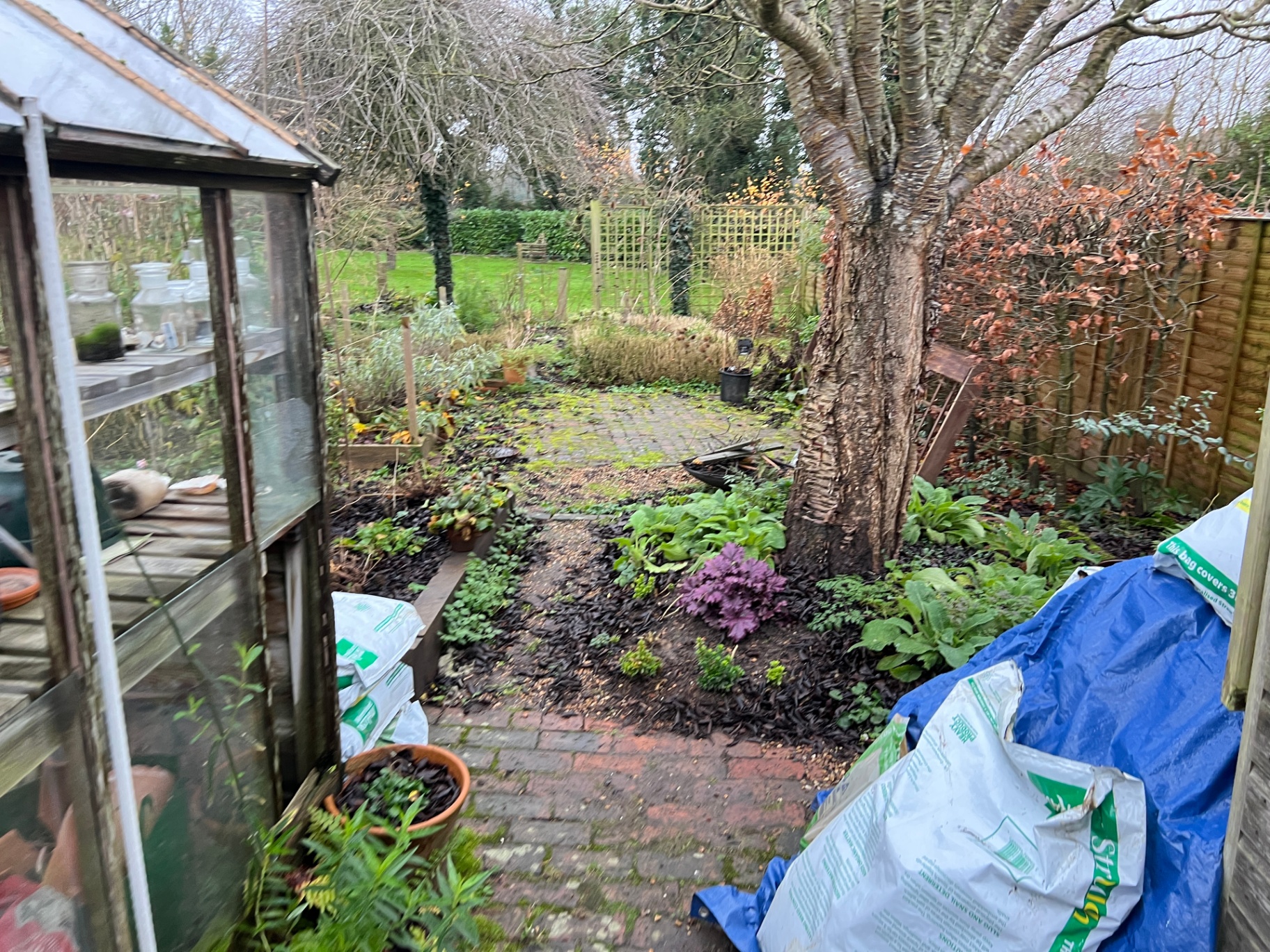Original garden — mossy brick paving beside a weathered greenhouse with overgrown borders