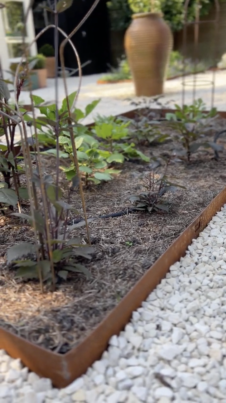 Walled flower garden — close-up of a corten-edged bed with new planting and crisp white gravel