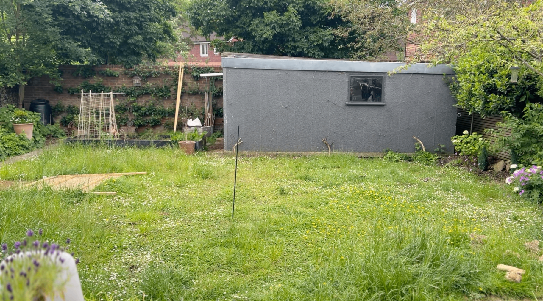 Original walled garden — unloved lawn with grey outbuilding before transformation