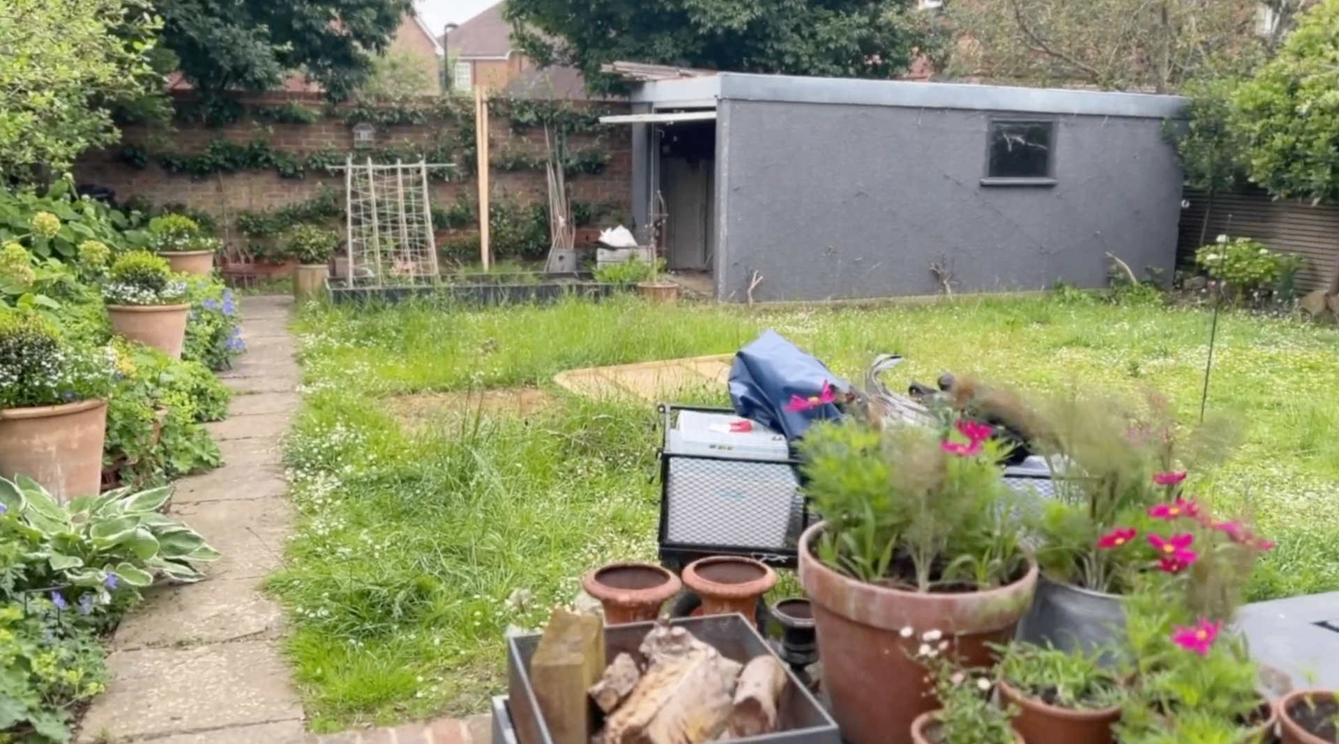 Original walled garden — overgrown lawn, scattered pots and dated grey shed
